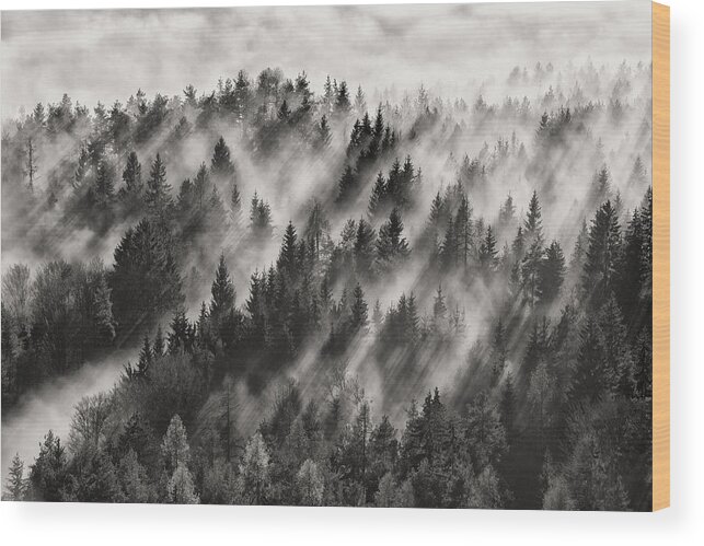 Landscape Wood Print featuring the photograph Sundance No.1 by Davorin Baloh