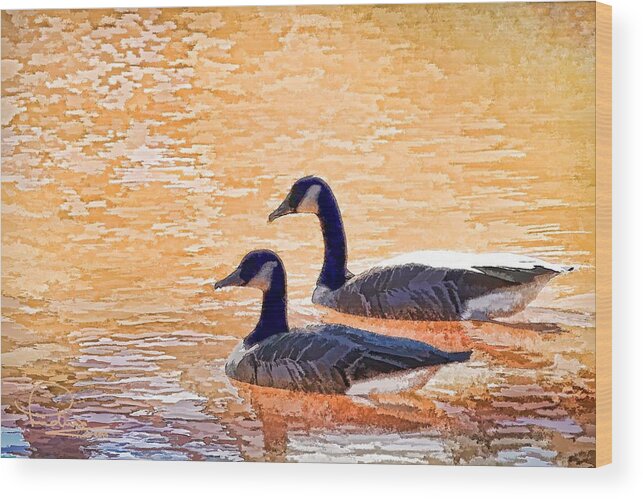 Wildlife Wood Print featuring the photograph Sunday on the Pond by Ludwig Keck