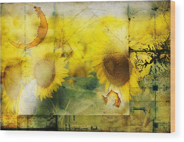 Sunflower Wood Print featuring the photograph Sunflower Grunge by Kathy Churchman