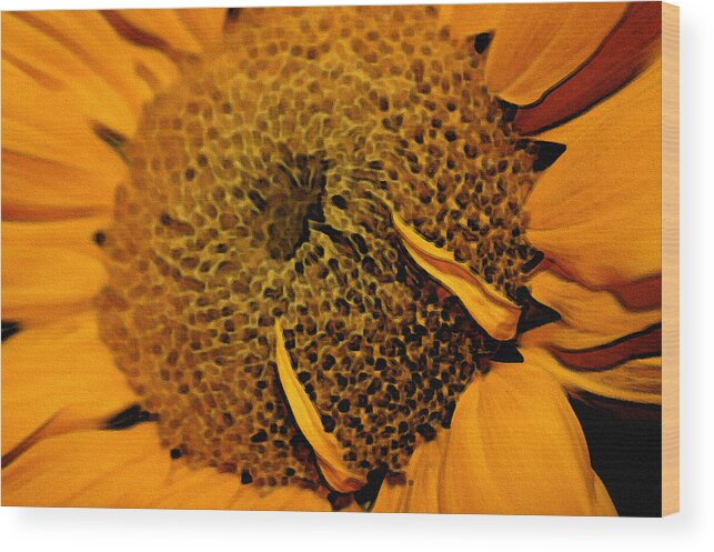 Sunflower Wood Print featuring the photograph Sunflower Painting by Ellen Tully