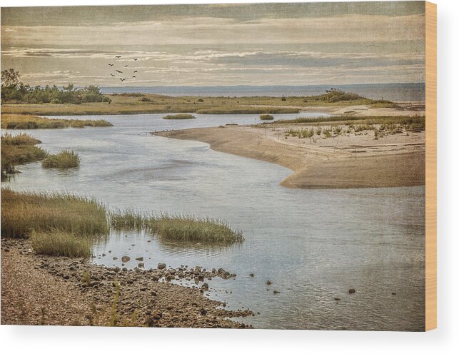 Inlet Wood Print featuring the photograph Sunken Meadow by Cathy Kovarik