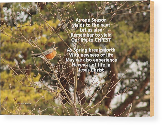 Robin Wood Print featuring the photograph Sunlight On Robin with Poetry by Lorna Rose Marie Mills DBA Lorna Rogers Photography