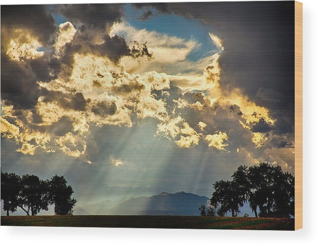 Forest Wood Print featuring the photograph Sunlight Raining Down From the Heavens by James BO Insogna