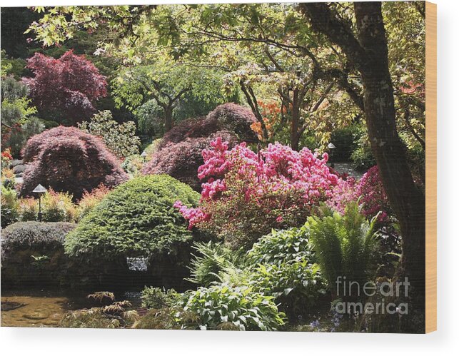 Japanese Garden Wood Print featuring the photograph Sunny Japanese Garden by Carol Groenen