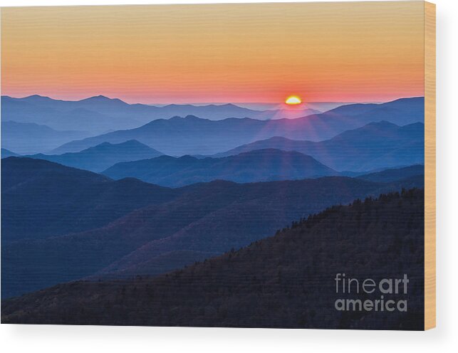 Clingmans Dome Wood Print featuring the photograph Sunny Side UP by Anthony Heflin