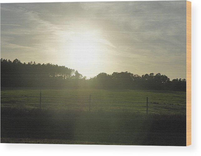Withlacoochee Forest Wood Print featuring the photograph Sunrays on a Back Road by Laurie Perry