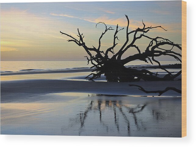 Beach Photographs Wood Print featuring the photograph Sunrise at Driftwood Beach 6.6 by Bruce Gourley