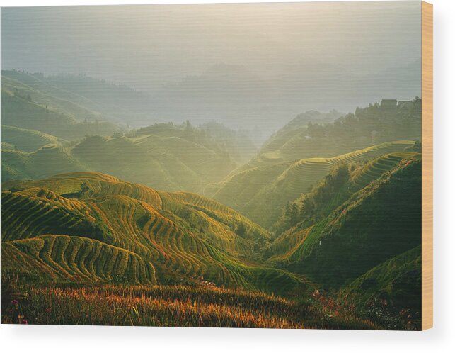 Guangxi Wood Print featuring the photograph Sunrise at Terrace in Guangxi China 3 by Afrison Ma