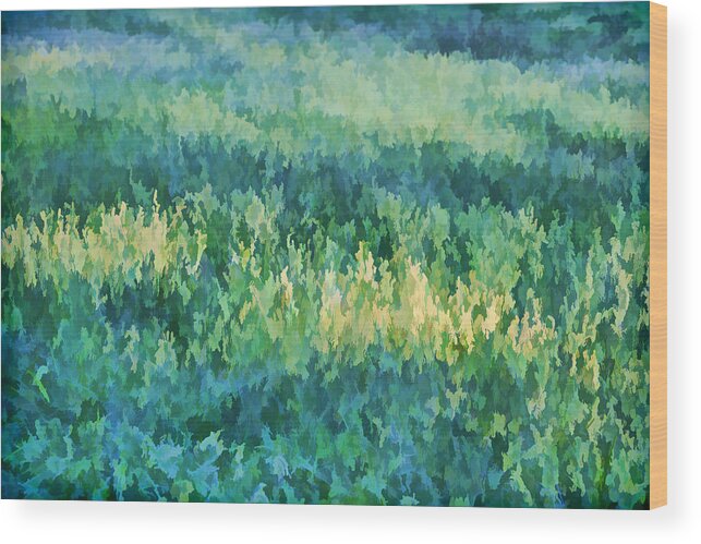 David Letts Wood Print featuring the painting Sunrise at the Green Meadow by David Letts