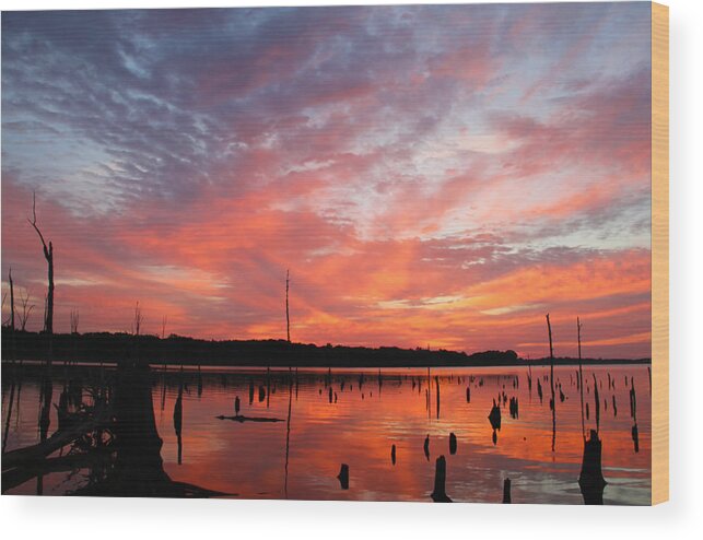 Waterscape Wood Print featuring the photograph Sunrise Glory by Roger Becker