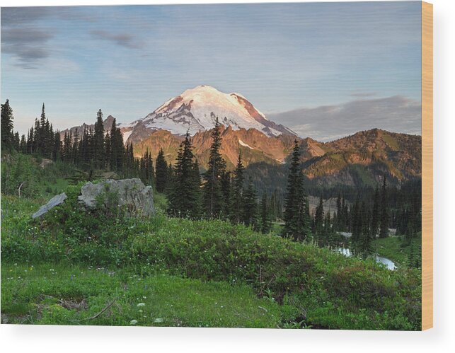 Abies Lasiocarpa Wood Print featuring the photograph Sunrise Light on Mount Rainier by Michael Russell