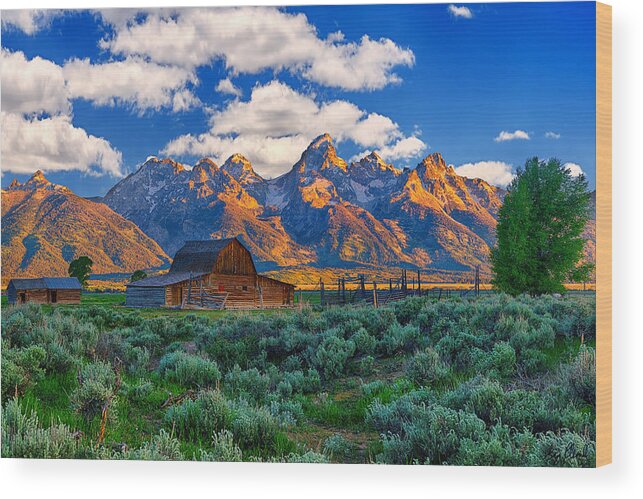 Grand Teton National Park Wood Print featuring the photograph Sunrise on the Tetons Limited Edition by Greg Norrell