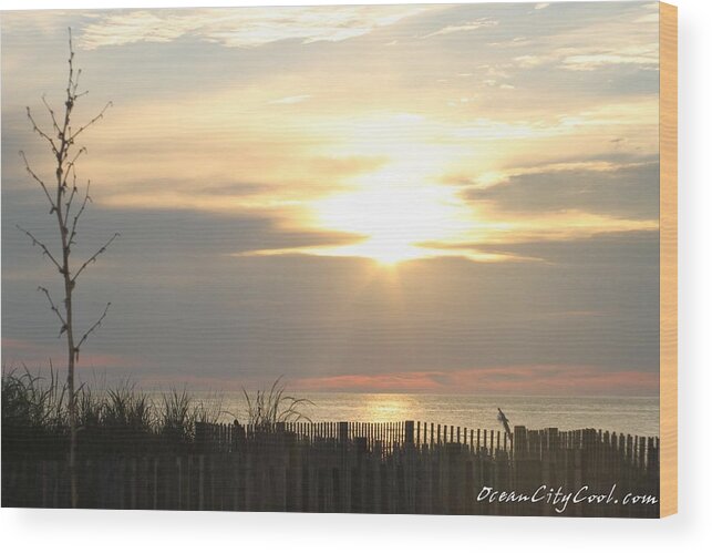 Ocean City Maryland Wood Print featuring the photograph Sunrise Over Beach Dune by Robert Banach