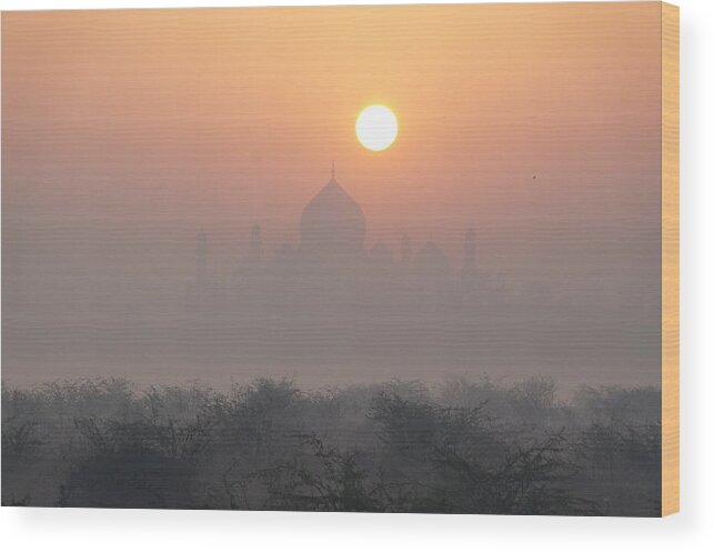 Taj Mahal Wood Print featuring the photograph Sunrise over the Taj by Elena Perelman
