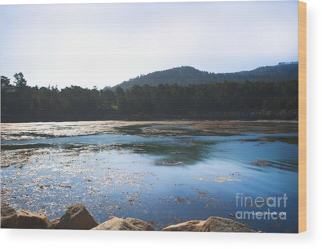 State Beach Near Big Sur Wood Print featuring the photograph Sunrise Over Whaler's Cove at Point Lobos California by Artist and Photographer Laura Wrede