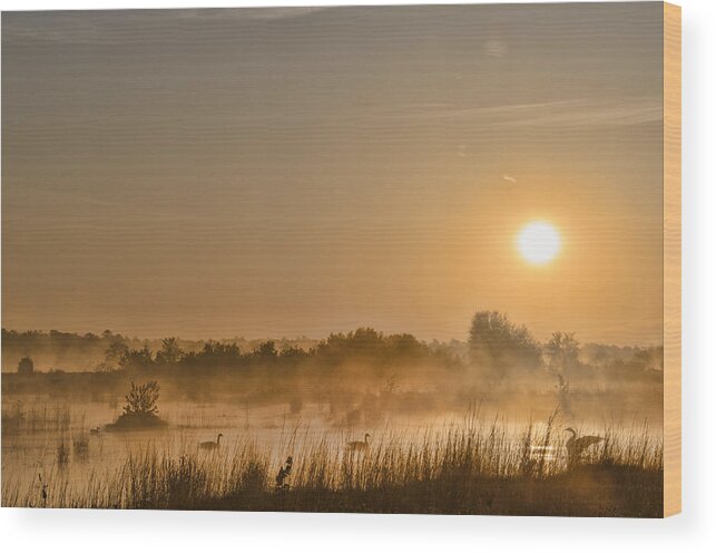 Sunrise Wood Print featuring the photograph Sunrise With The Geese by Beth Sawickie