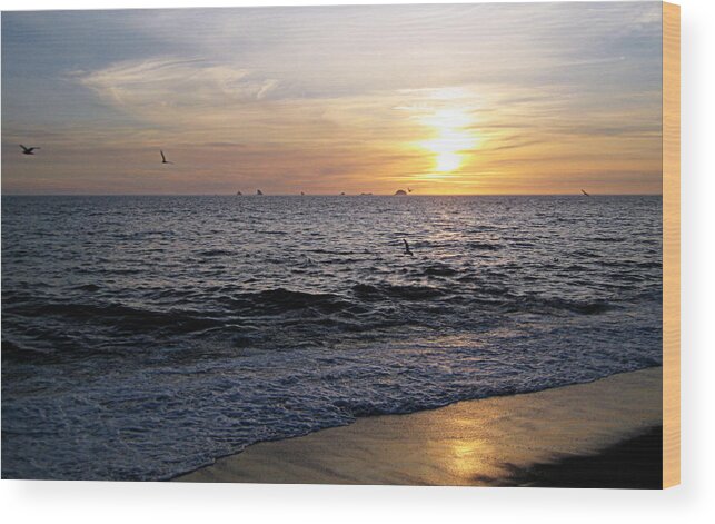 Scenic Wood Print featuring the photograph Sunset at Paradise Point by AJ Schibig