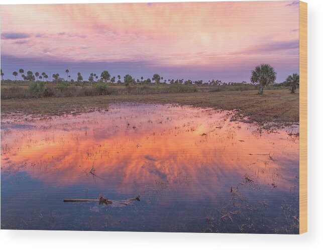 Sun Wood Print featuring the photograph Everglades Afterglow by Doug McPherson