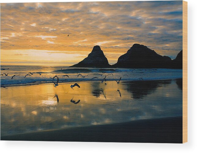 Nature Photography Wood Print featuring the photograph Sunset Flight by Bonnie Bruno