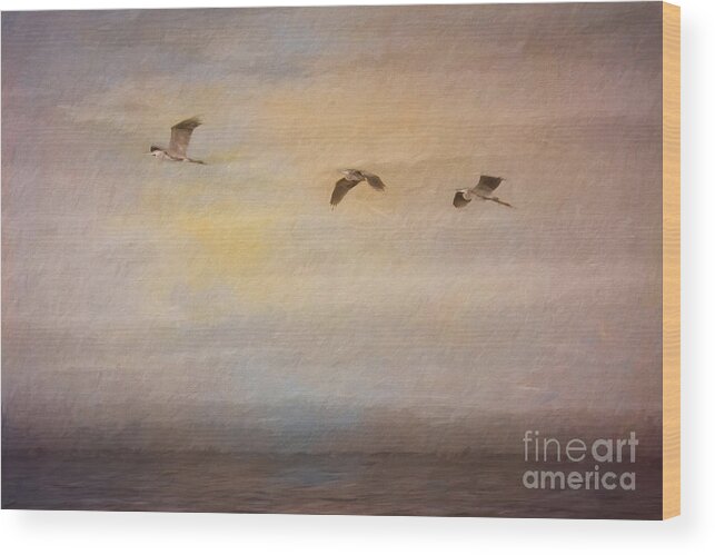Great Blue Herons Wood Print featuring the digital art Sunset Flight by Jayne Carney