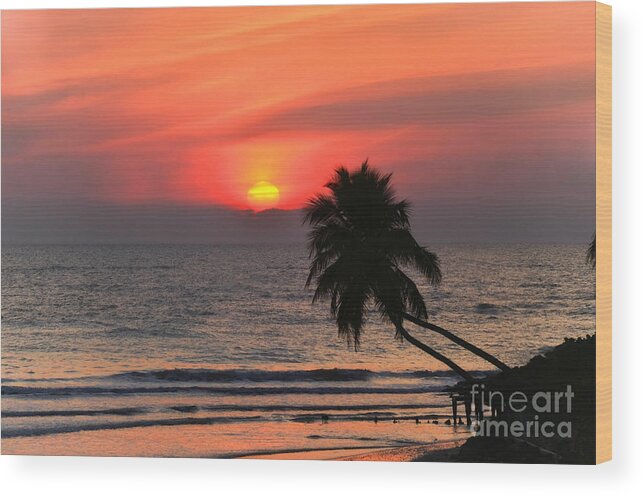 Sun Wood Print featuring the photograph Sunset  Gulf of Mexico  Naples Florida by Elaine Manley