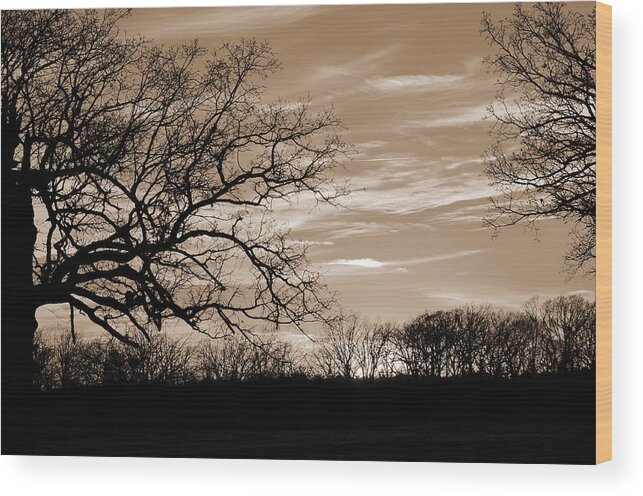 Sunset Wood Print featuring the photograph Sunset is Sepia by Jeanne May