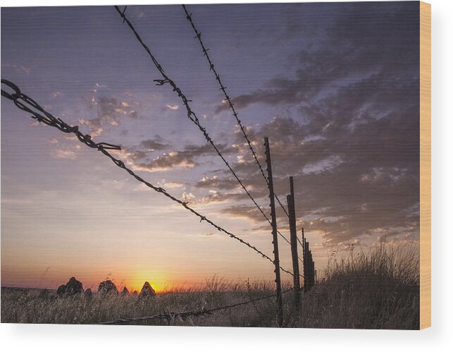 Nature Wood Print featuring the photograph Sunset by Lee Harland