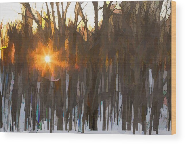 Sunset Wood Print featuring the photograph Sunset by Mary Underwood