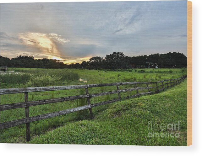 Landscape Wood Print featuring the photograph Sunset by Mina Isaac