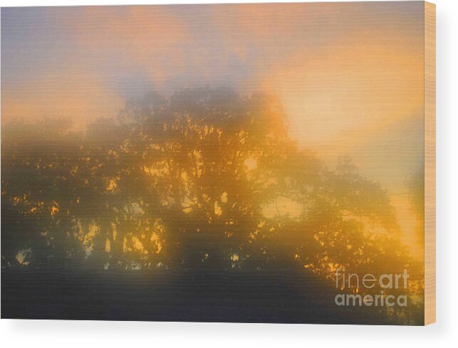 Business Wood Print featuring the photograph Sunset Mocks Sunrise by George D Gordon III