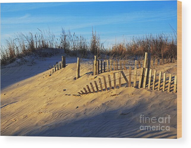 Sand Dunes Wood Print featuring the photograph Sunset on the Dunes by Robert Pilkington