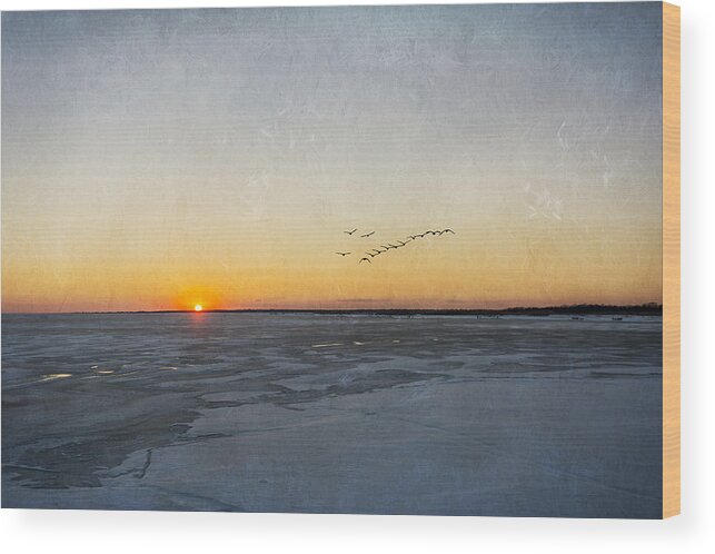 Sunset Wood Print featuring the photograph Sunset On The Frozen Bay by Cathy Kovarik