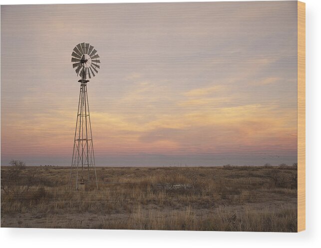 #faatoppicks Wood Print featuring the photograph Sunset on the Texas Plains by Melany Sarafis