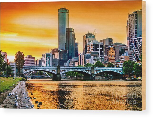 Sunset Wood Print featuring the photograph Sunset Over The Yarra by Az Jackson
