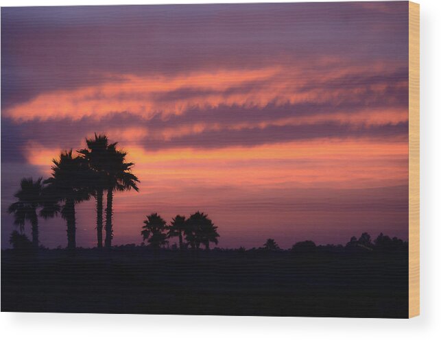 Palms Wood Print featuring the photograph Sunset Palms II by DigiArt Diaries by Vicky B Fuller