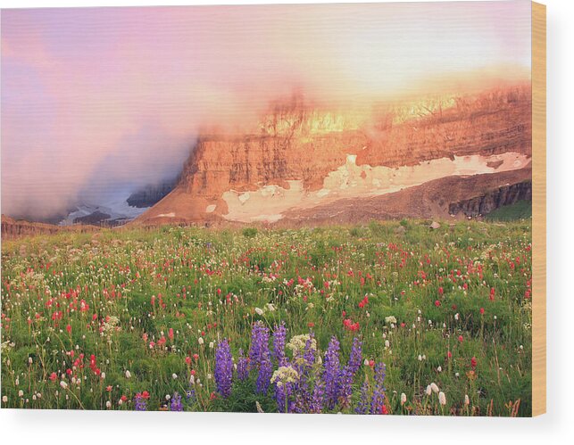 Sunset Wood Print featuring the photograph Sunset splendor on Mount Timpanogos by Wasatch Light