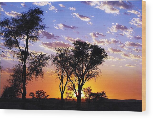 Sunset Wood Print featuring the photograph Sunset splendour by Liudmila Di