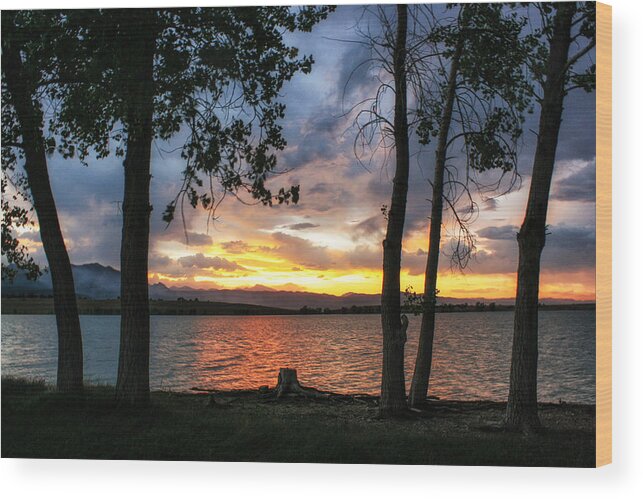 Sunset Wood Print featuring the photograph Sunset Through the Trees by Juli Ellen