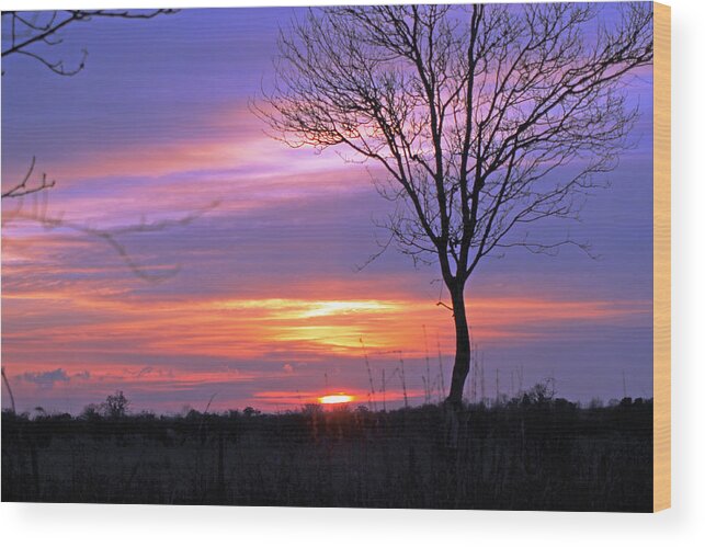 Sunset Wood Print featuring the photograph Sunset by Tony Murtagh