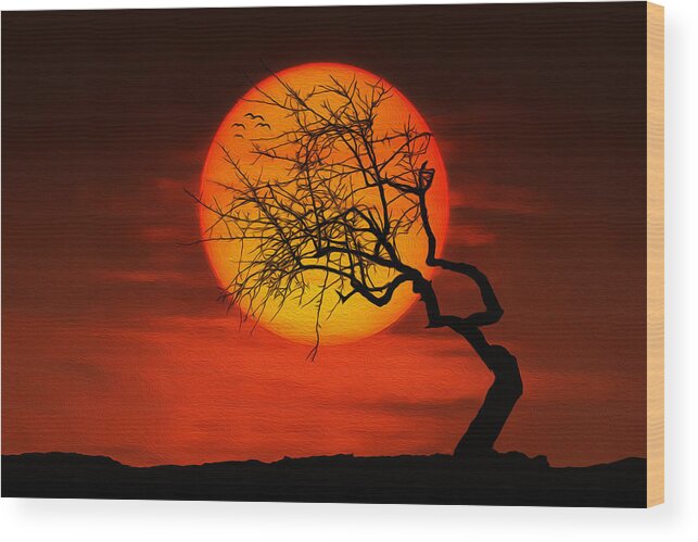 Amazing Nature Wood Print featuring the photograph Sunset tree by Bess Hamiti