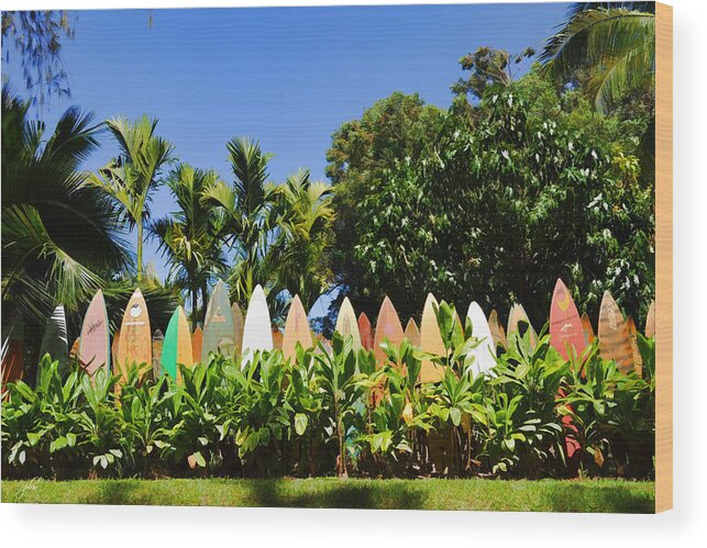 Nature Wood Print featuring the photograph Surfboard Fence - Left Side by Paulette B Wright