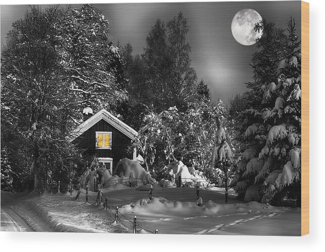 Surreal Wood Print featuring the photograph Surreal Winter Landscape With Moonlight by Christian Lagereek