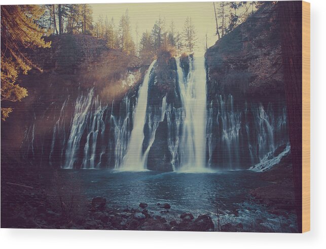Burney Falls State Park Wood Print featuring the photograph Sweet Memories by Laurie Search