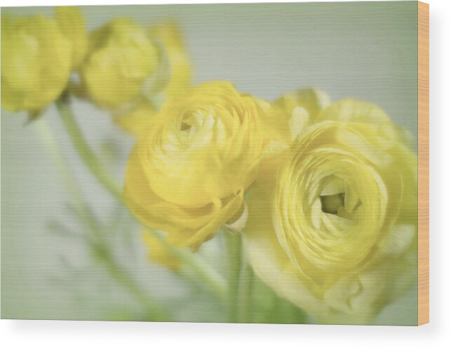 Flowers Wood Print featuring the photograph Swell of Yellow by Diana Angstadt