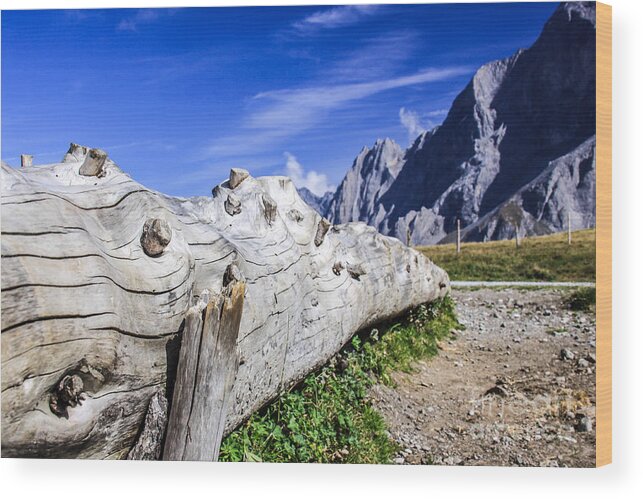 The Alps In Switzerland Wood Print featuring the photograph Switzerland Landscape by Mina Isaac