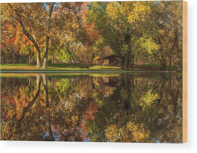 Sycamore Wood Print featuring the photograph Sycamore Reflections by James Eddy