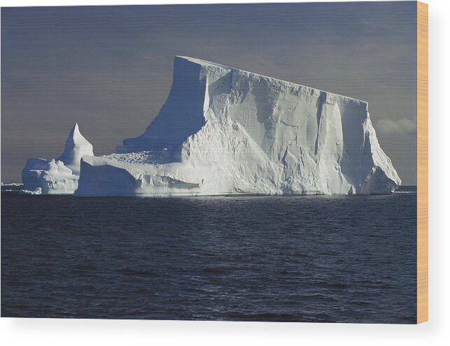 Feb0514 Wood Print featuring the photograph Tabular Iceberg In Bransfield Strait by Gerry Ellis