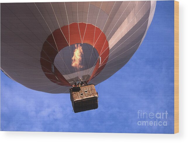 Hot_air_ballon Wood Print featuring the photograph Take Off by Heiko Koehrer-Wagner