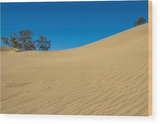 Death Valley National Park Wood Print featuring the photograph Talk to me by Kunal Mehra