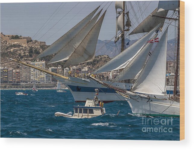 Tall Ships Wood Print featuring the photograph Tall Ship Mir by Pablo Avanzini